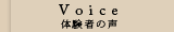 Voice 体験者の声